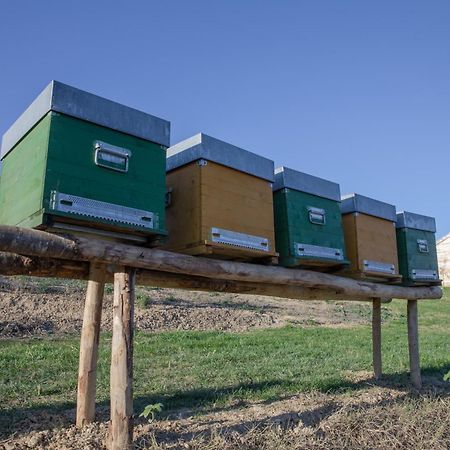 Willa Cascina Rueral Montafia Zewnętrze zdjęcie